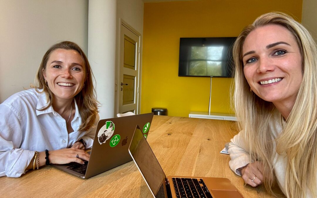 Vacature: CX / EX Consultant (Medior–Senior)